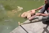 Vụ nhân viên tử vong sau khi bị cá sấu ngoạm chân, kéo xuống hồ: Camera ghi lại phút kinh hãi