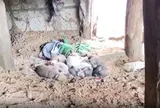 Phát hiện thi thể mắc kẹt sâu trong hang hẹp: Nhìn xuống ngón tay nạn nhân, đội cứu hộ ám ảnh tột cùng