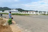 Xót cây chuối bị dê gặm lá, Lương Văn Xuân vướng vòng lao lý từ một quyết định sai lầm