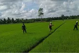 Phun thuốc diệt cỏ vào công an, Đặng Thị Chim Chuyền cùng 2 người thân bị xử lý ra sao?