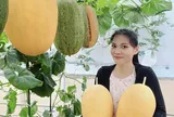 Mẹ đảm ở TP.HCM biến sân thượng 50m² thành “trang trại dưa”: Thu 200-300kg dưa mỗi vụ, có trái nặng hơn 7kg