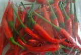 Đừng vội rửa ớt trước khi cho vào tủ lạnh: Làm đúng cách này, ớt lâu héo, hạn chế úng