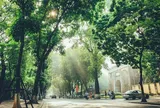 Gửi Hà Nội: Nơi thời gian ngưng đọng sau những đại lộ