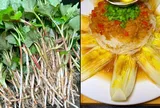 Nhiều người sợ ăn 5 loại rau này vì lo ung thư, sự thật khiến không ít người bất ngờ