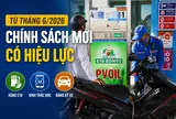 Loạt chính sách mới có hiệu lực từ tháng 6/2026: Bắt buộc bán xăng E10, siết xác thực thuê bao