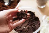 Nhiều người đặt bã cà phê vào tủ lạnh, lý do phía sau khiến ai cũng bất ngờ