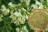 Loại nụ hoa quen thuộc được ví là "thuốc cầm máu" trong Đông y, nhưng không phải ai cũng dùng được