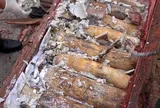 Phát hiện gần 1,2 tấn ngà voi giấu trong gỗ từ châu Phi về Việt Nam, chuyển cơ quan điều tra xử lý theo thẩm quyền