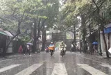 Hà Nội còn mưa đến bao giờ? Khi nào trời tạnh ráo, nắng trở lại?