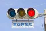 Giải mã bí ẩn đèn giao thông "ao" tại Nhật Bản