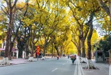 Việt Nam lọt top 4 điểm đến mùa thu đẹp nhất năm 2026