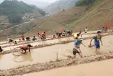 Hot: Trải nghiệm "độc lạ" cuộc thi leo ruộng bậc thang ở Mù Cang Chải gây sốt trên mạng
