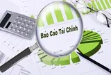 Nhân viên kế toán khai man số liệu báo cáo tài chính năm 2025 bị phạt bao nhiêu tiền khi chưa đến mức truy cứu TNHS?