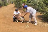 Người đàn ông ở Đắk Lắk bị chó nghi dại cắn nhưng lại kiên quyết từ chối tiêm vaccine dù được hỗ trợ kinh phí