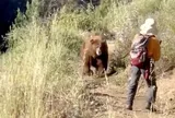 Clip: Đang đi bộ thì chạm mặt con gấu to lớn, khoảnh khắc đối đầu khiến ai xem cũng thót tim