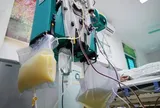 Uống món đồ uống “quốc dân” suốt nhiều tháng, cô gái nhập viện với máu trắng đục như sữa, kết quả xét nghiệm khiến ai cũng giật mình