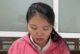 Khởi tố, bắt tạm giam “nữ quái” Phan Thị Tâm lừa đảo chiếm đoạt hàng tỷ đồng