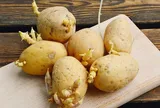 5 thực phẩm tự nhiên có thể gây ngộ độc nguy hiểm nếu dùng sai cách