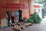 Bắt vợ chồng Phạm Tiến Chang và Ngô Thị Nhậm