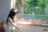 Cô gái mù gây thương cảm với clip bị xe điện tông giữa đường, sự thật phía sau khiến mạng xã hội “quay xe” dữ dội