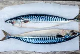 Một loại cá quen thuộc của người Việt bất ngờ có lượng omega-3 cao gấp hơn 2 lần cá hồi, giá lại rẻ hơn nhiều
