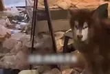 Mở cửa kiểm tra căn hộ vì khách thuê xinh đẹp nợ tiền nhà, người đàn ông chết lặng khi thấy cảnh tượng bên trong