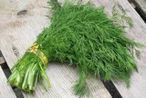 Loại rau thơm phức bán đầy chợ Việt được ví như "dược liệu tự nhiên", vừa hỗ trợ giảm đau bụng kinh vừa giúp cải thiện tâm trạng