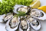 Sau bữa hàu sống, người đàn ông phải lọc máu khẩn cấp vì nhiễm vi khuẩn "ăn thịt người": Bác sĩ cảnh báo điều này