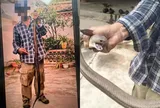 Bị rắn cắn vẫn bình thản giơ điện thoại chụp ảnh khoe "chiến tích", người đàn ông suýt phải trả giá bằng mạng sống