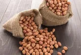 Lạc rất bổ nhưng không phải ai cũng ăn được, bác sĩ khuyến cáo 7 nhóm người này nên cẩn trọng, càng ăn càng hại sức khỏe