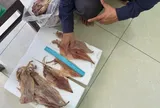 Trộm mực khô rồi giấu trong quần, Nguyễn Văn Tuấn bị bắt