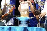 Hai con gà chọi nổi tiếng được bán với giá 4,7 tỷ đồng khiến giới nuôi gà xôn xao