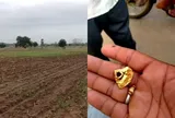 Nhặt được số vàng trị giá cả tỷ đồng khi làm đồng, người phụ nữ không ngờ sự việc sau đó còn rắc rối hơn