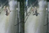 Camera ghi lại khoảnh khắc con báo dữ bất ngờ nhảy bổ vào người đi xe máy giữa khu dân cư, ai xem cũng thót tim
