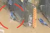 Camera ghi lại khoảnh khắc nam bảo vệ bất nhờ ngã gục giữa con đường ngập nước, nguyên nhân phía sau khiến nhiều người ám ảnh