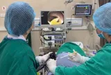 Thích ăn phở bò tái suốt nhiều năm, người đàn ông đi khám rồi bàng hoàng khi bác sĩ gắp ra con sán dài 1,2 mét