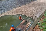 Nhìn xuống dòng kênh, ai cũng rùng mình vì cảnh tượng trước mắt: Mặt nước phủ kín cá chết, mùi hôi bốc lên nồng nặc