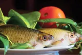 Xưa bị chê “ăn vào lúi húi cả ngày”, loài cá nhỏ bé nay khiến thực khách khó tính nhất cũng muốn nếm thử, giá bán chạm mốc 100.000 đồng/kg