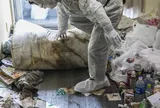 Công việc "khó nhằn" nhưng lương cao, được trả tới 5,5 triệu đồng/ngày: Nhiều người bỏ cuộc chỉ sau thời gian ngắn, nguyên nhân phía sau gây ám ảnh