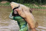 Cần thủ bắt được “quái vật” nặng 68 kg dưới sông gây sốt mạng xã hội, người trong cuộc lên tiếng: “Không phải chuyện bịa”