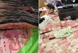 Cất gần 400 triệu đồng ngoài ban công, người đàn ông đi công tác về thì "tái mặt" khi chứng kiến cảnh không ngờ