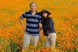 Bán nhà rồi dành 10 năm biến đất hoang thành vườn hoa tặng vợ