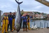"Thủy quái khổng lồ" nặng hơn 336 kg khiến tàu nghiêng hẳn sang một bên khi vừa cập cảng