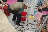 Màn “đại chiến" giữa người và... lươn giữa toa tàu điện ngầm khiến nhiều người vừa giật mình vừa thích thú