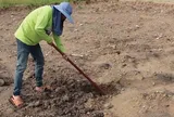 Làm nghề đào mộ ở nghĩa trang suốt 43 năm, người đàn ông tiết lộ điều khác xa hình dung của nhiều người