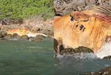 Đi dạo biển, người dân bàng hoàng khi phát hiện "vật thể lạ" khổng lồ nằm giữa các tảng đá