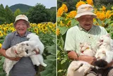 Hai chú mèo cứ chụp ảnh là lại lao vào “đánh nhau” khiến dân mạng thích thú