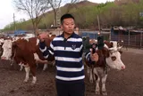 Bỏ việc văn phòng về quê chăn bò, chàng trai sinh năm 2000 giờ sở hữu đàn bò hơn 200 con, bán thịt online với giá 50.000 đồng nửa cân