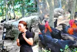 Cô gái 9X bỏ phố về quê khởi nghiệp với mô hình “gà tập gym”, tạo sinh kế cho hàng trăm người