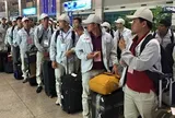 Danh sách 7 công việc bị cấm khi đi xuất khẩu lao động từ ngày 1/3/2027
